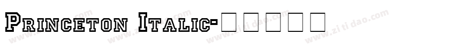 Princeton Italic字体转换